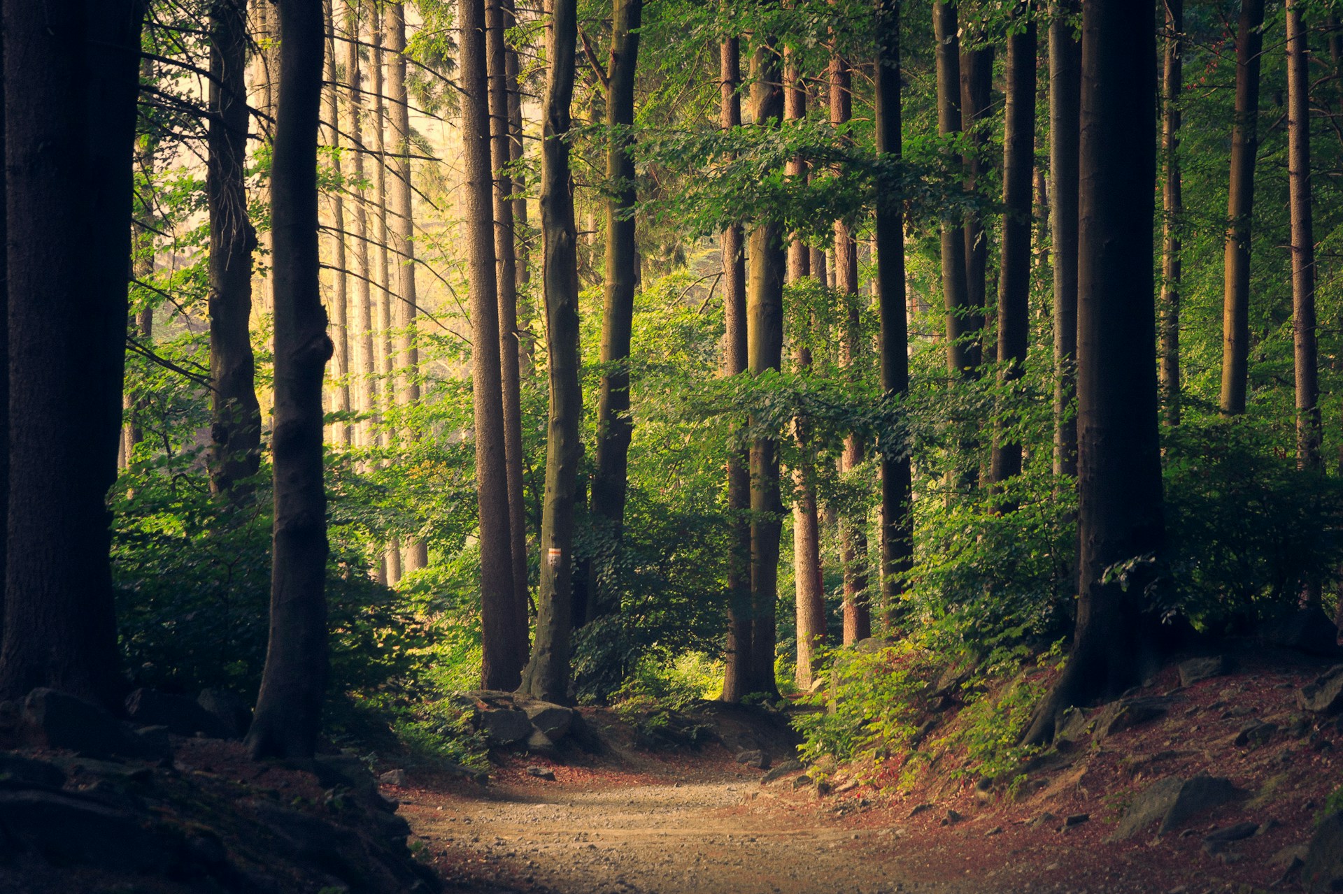 Ontdek de Ardennen: 7 Leuke Uitjes voor een Onvergetelijke Ervaring
